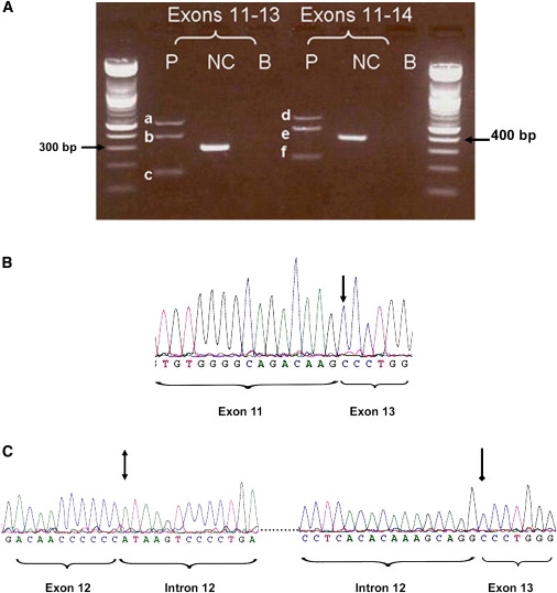 Figure 3