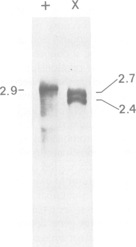 Fig.2