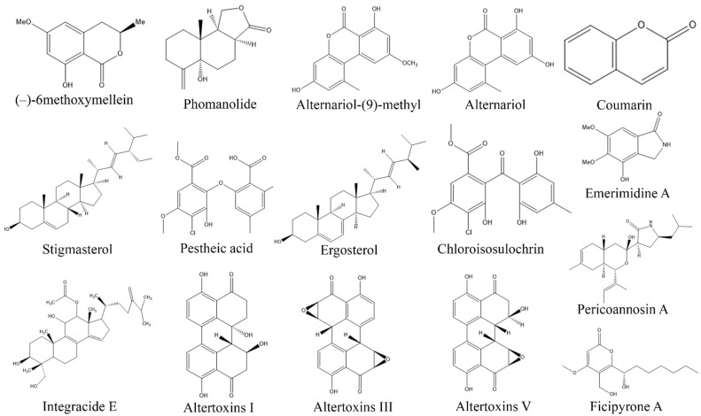 Figure 10