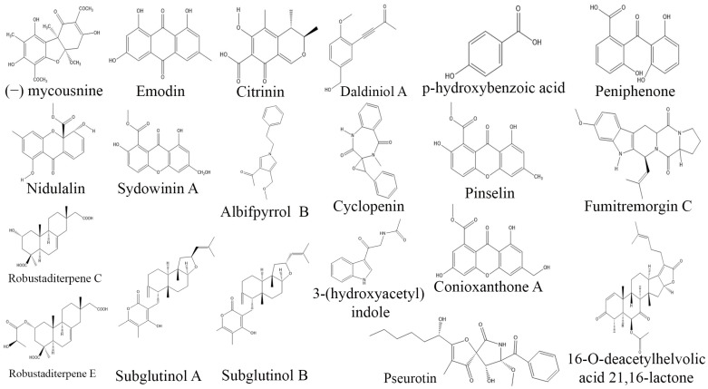 Figure 7