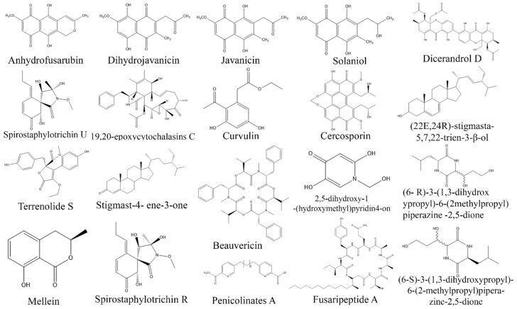 Figure 11