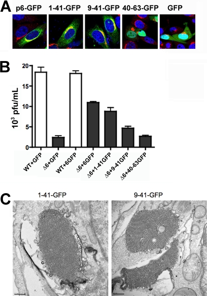 FIG. 6.