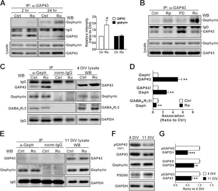 FIG 1