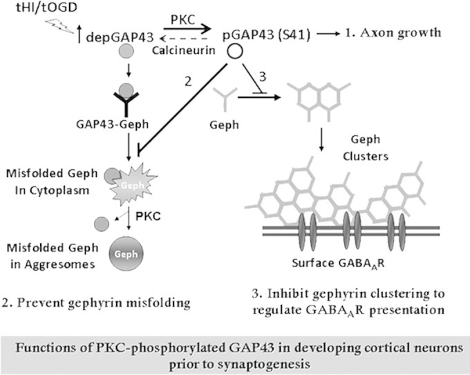 FIG 8