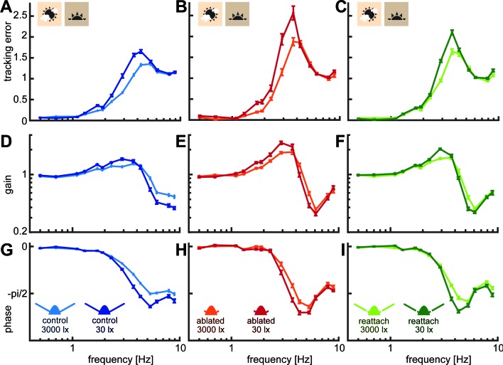 Figure 3—figure supplement 1.