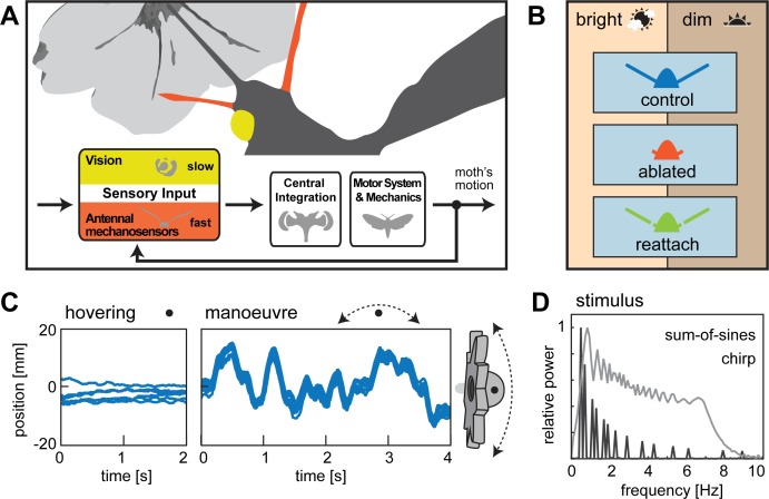 Figure 1.