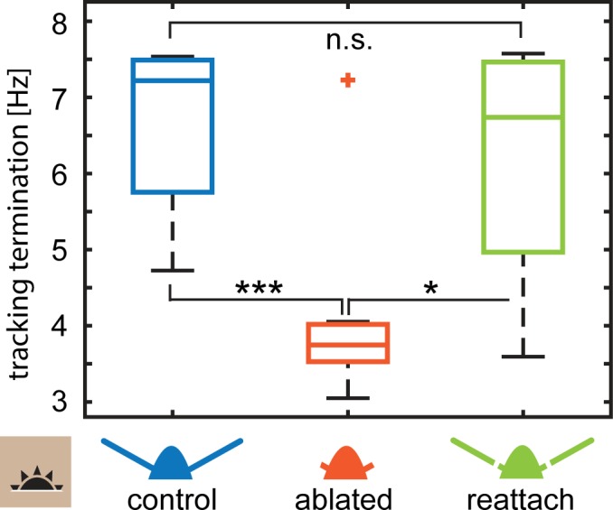 Figure 3—figure supplement 4.