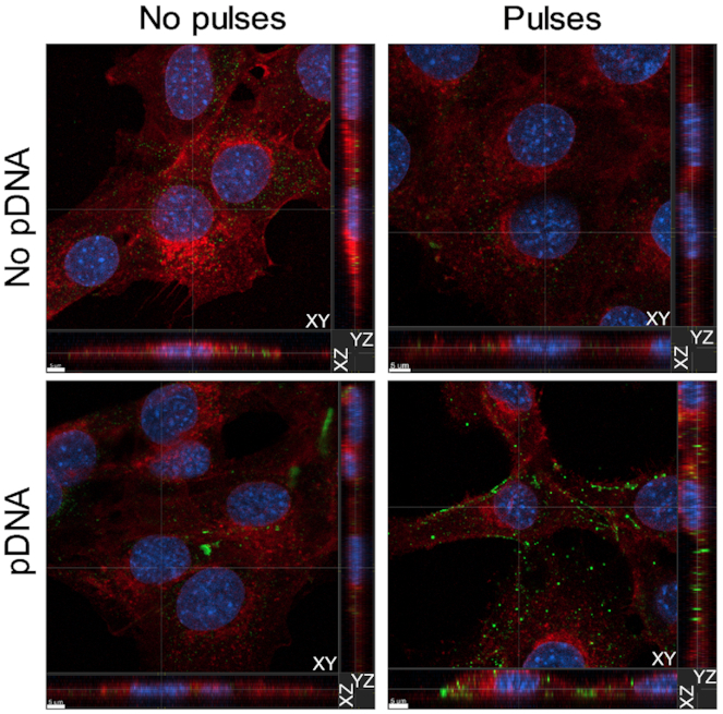 Figure 4.