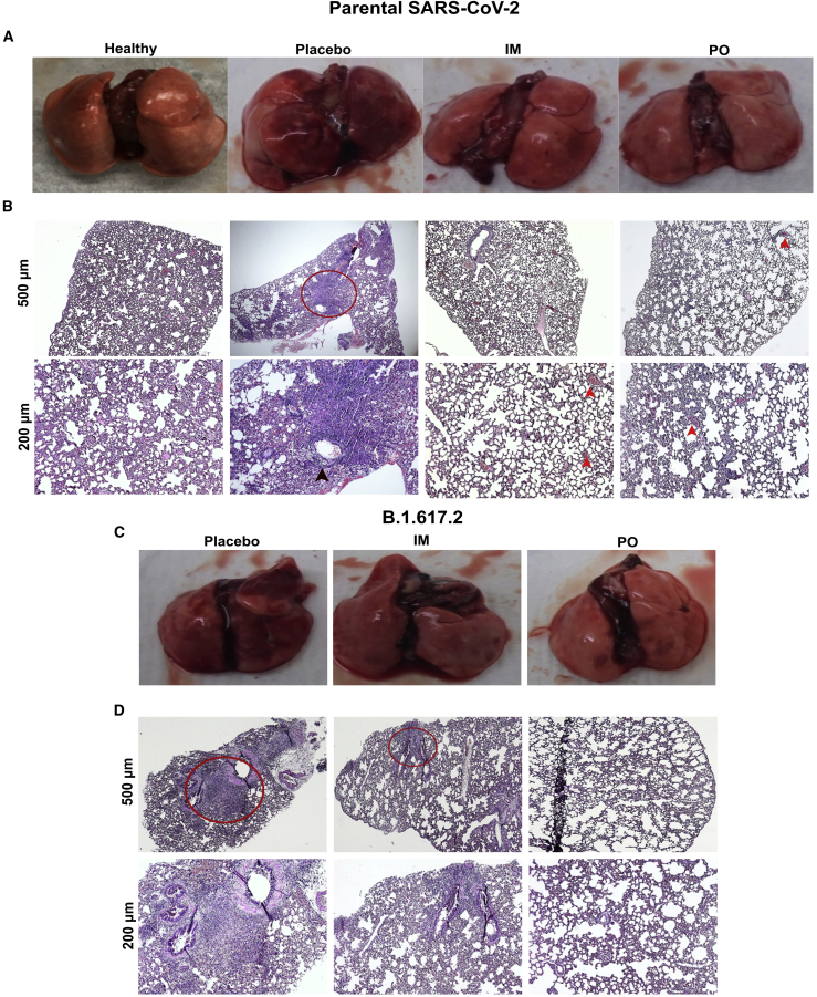 Figure 6