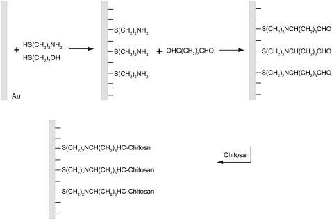 SCHEME 1