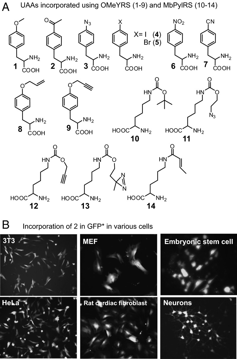 Fig. 3.