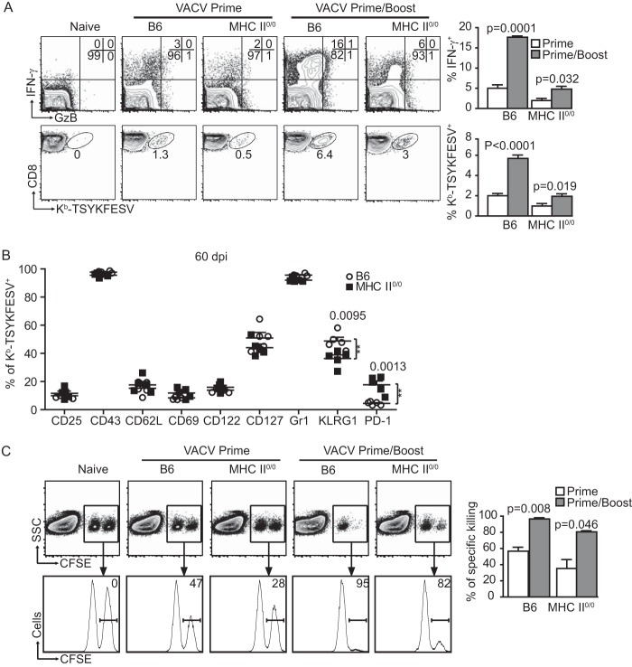 FIG 2