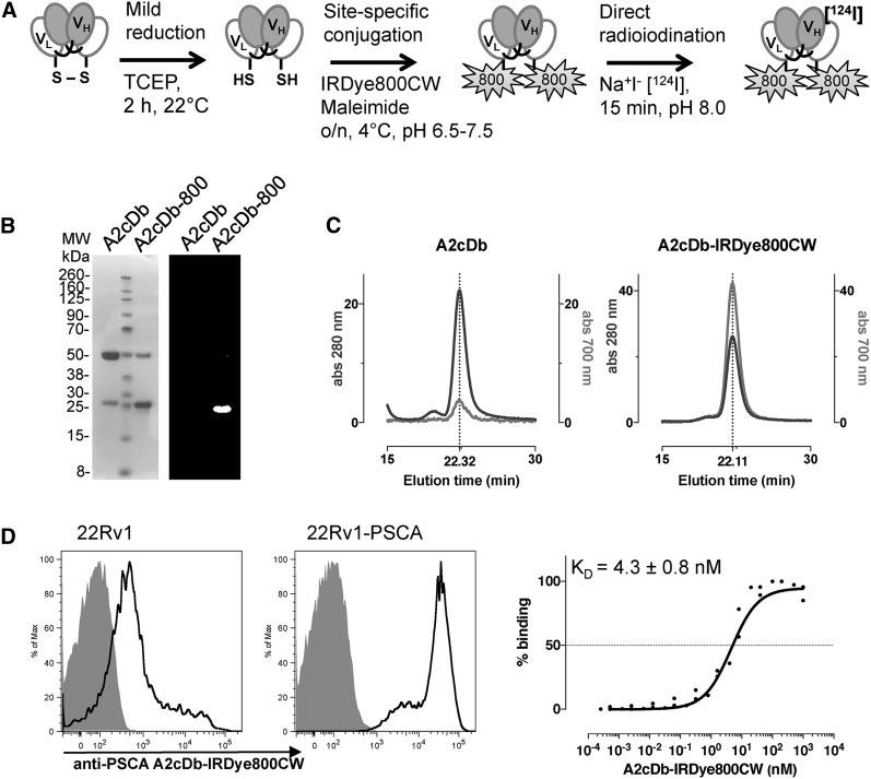 FIGURE 1.