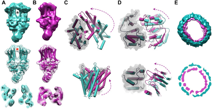 Fig. 4