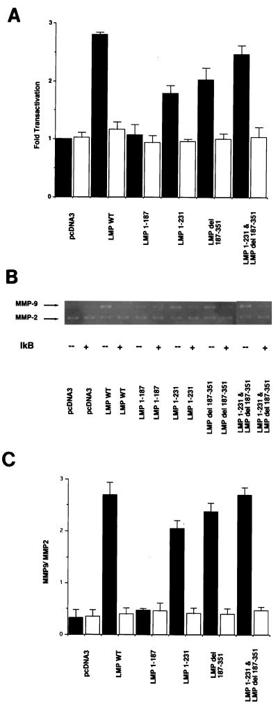 FIG. 6