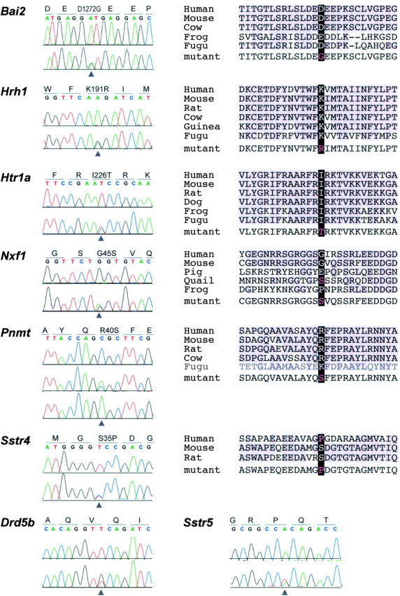 
Figure 3.—