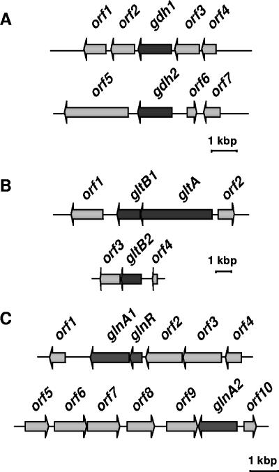 FIG. 2.