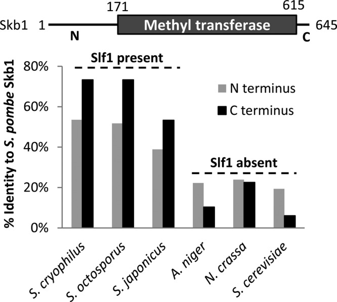 FIGURE 7: