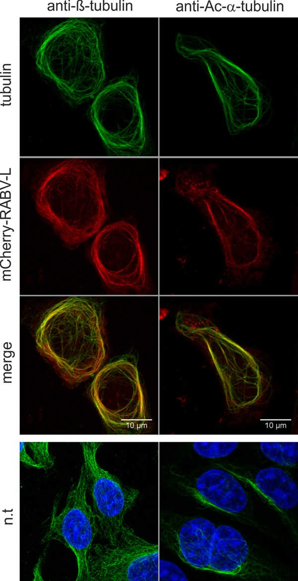 FIG 2