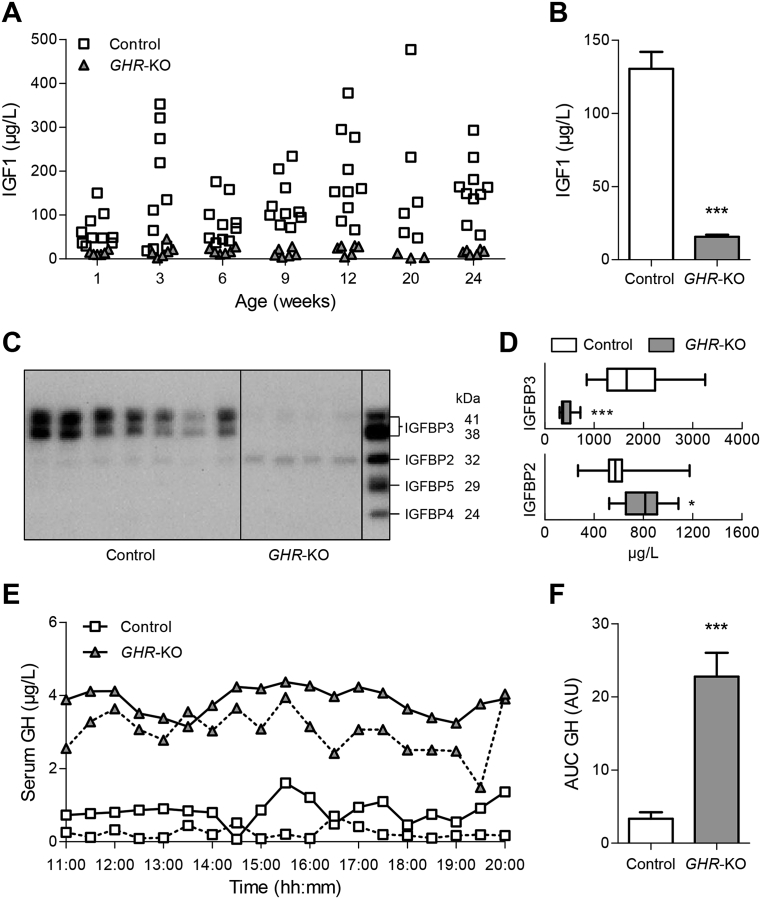 Figure 2