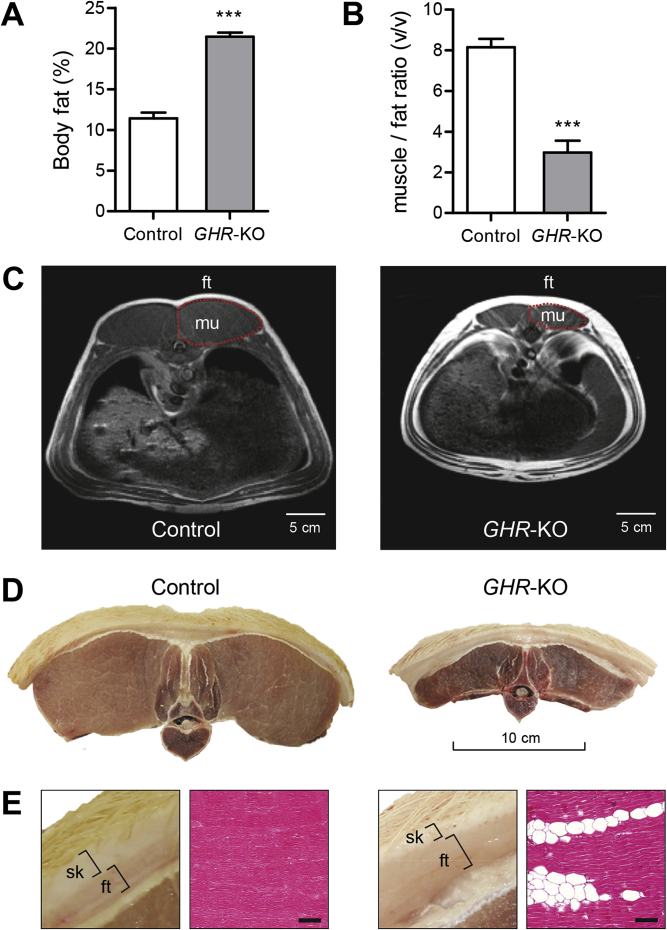 Figure 4