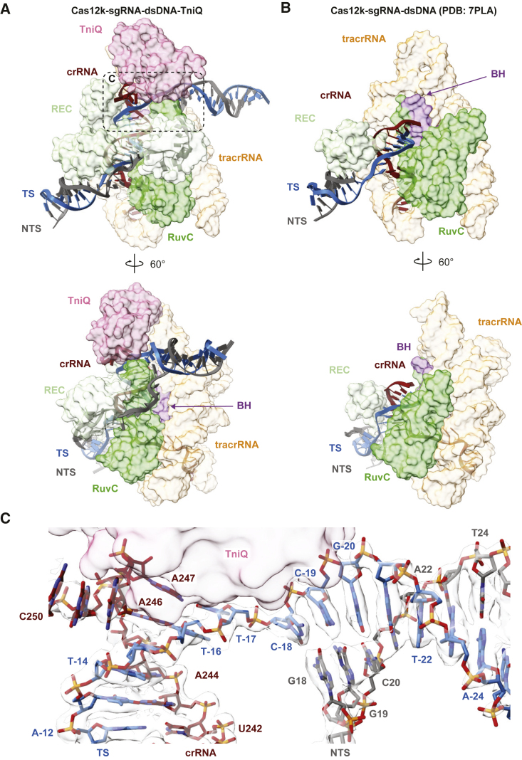 Figure 2