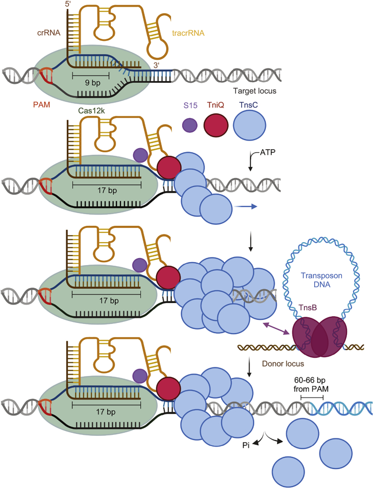 Figure 7