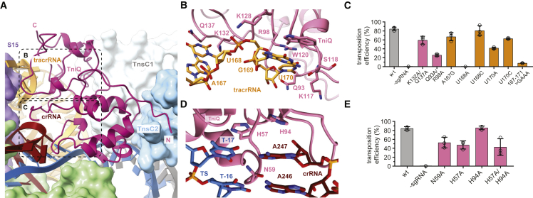 Figure 3