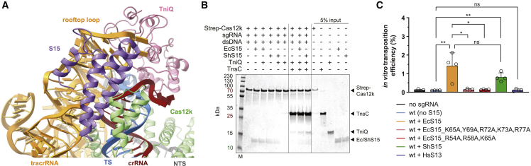 Figure 6