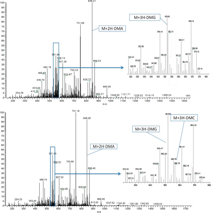 FIGURE 3.