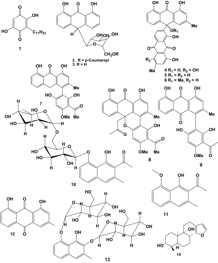 Fig. 2