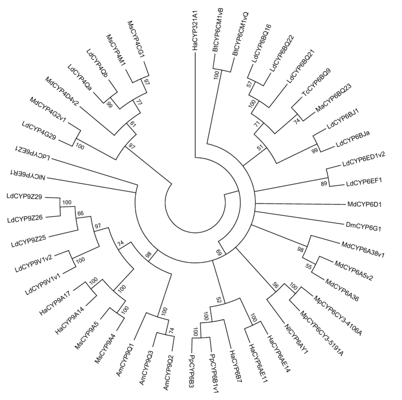 Figure 6