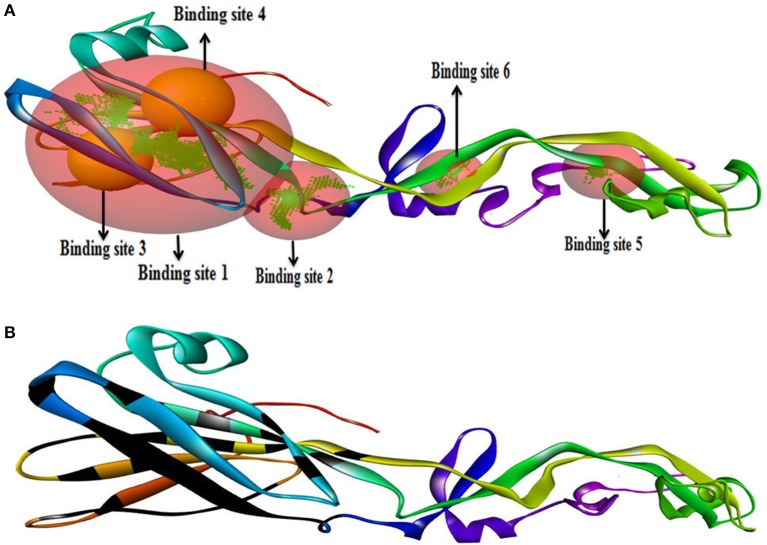 Figure 6