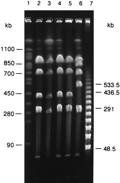 FIG. 5