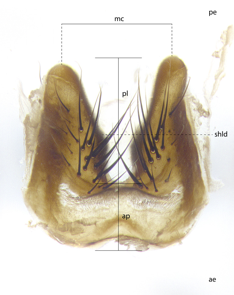 Figure 2c.