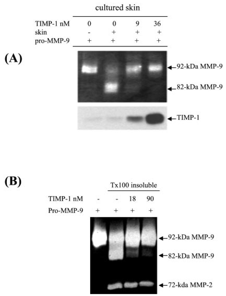 FIG. 9