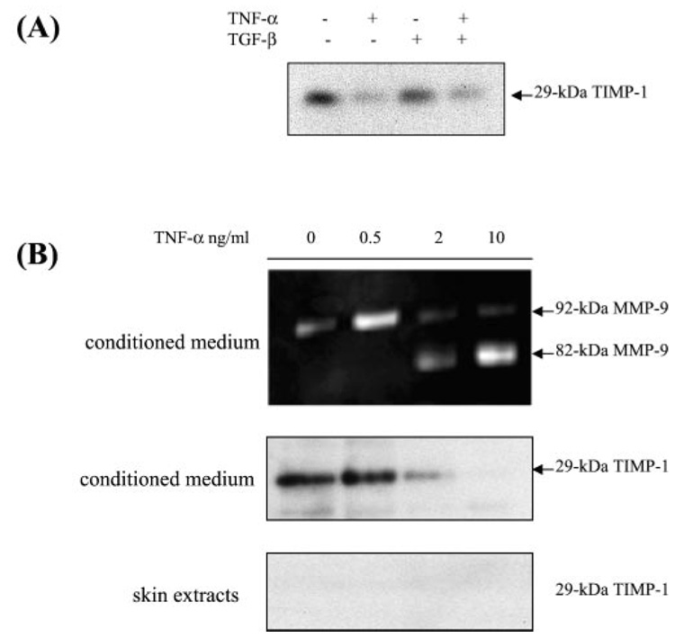 FIG. 8