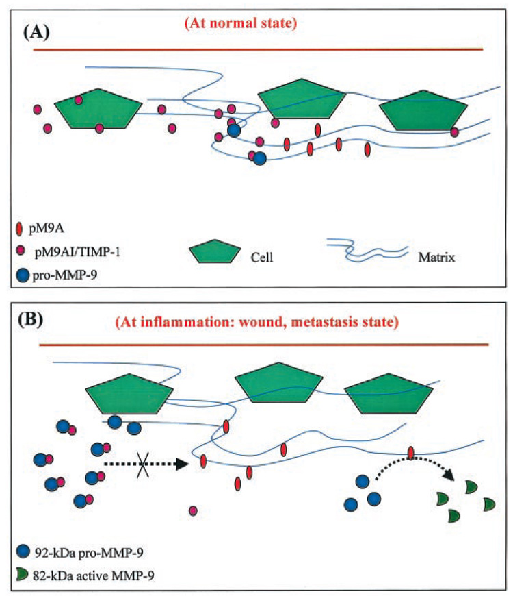 FIG. 10