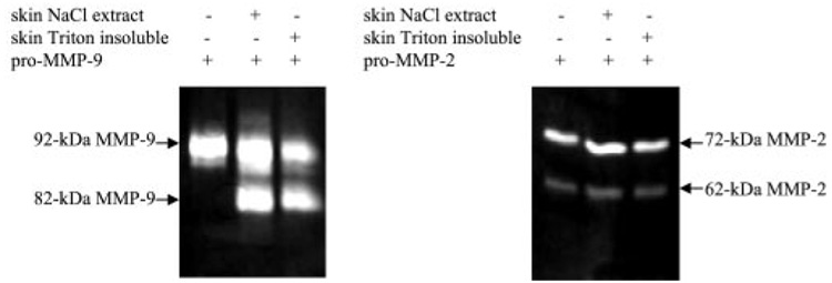 FIG. 7