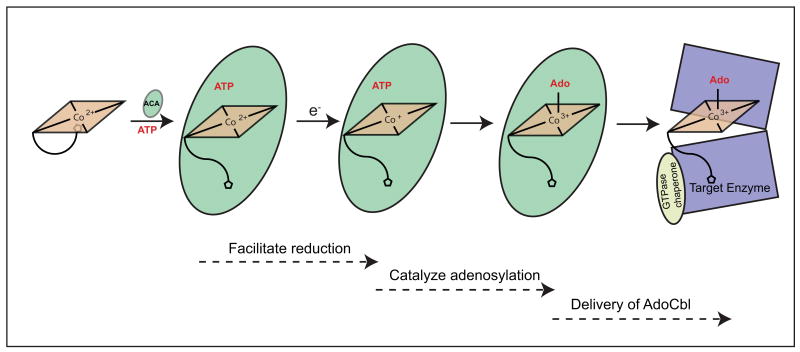 Fig. 3