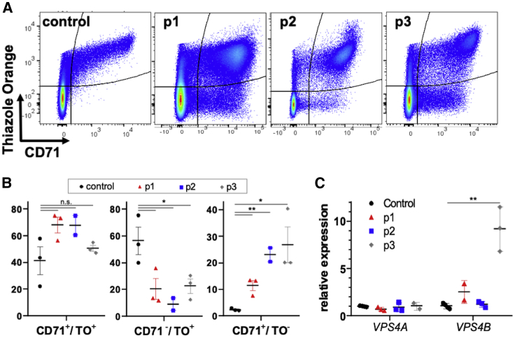 Figure 2