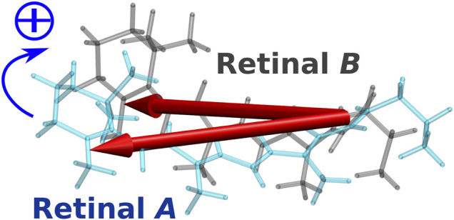 FIGURE 9