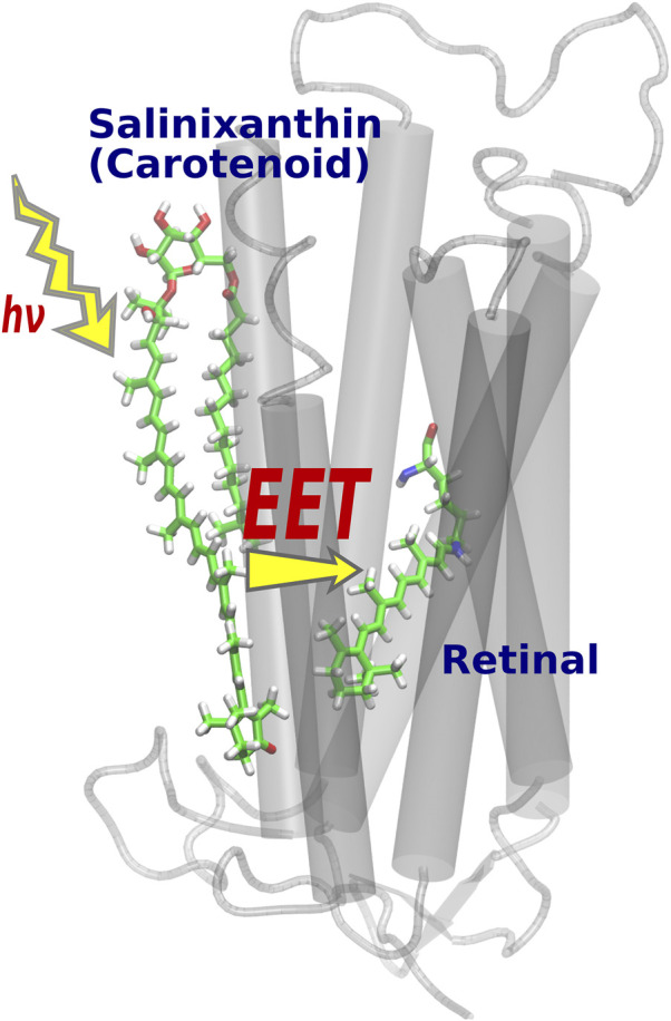 FIGURE 4