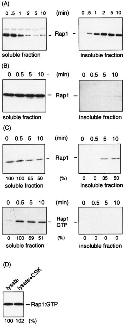 FIG. 5