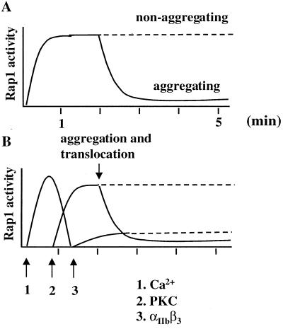 FIG. 7