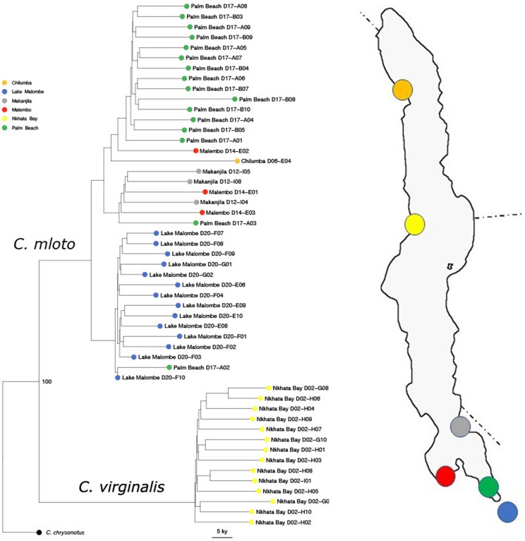 Fig. 3