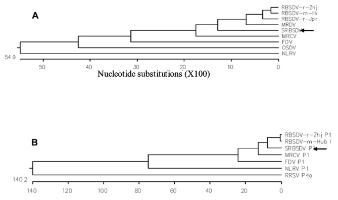 FIGURE 3