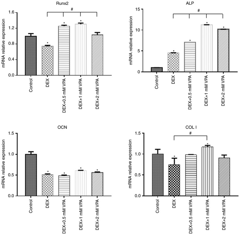 Figure 6