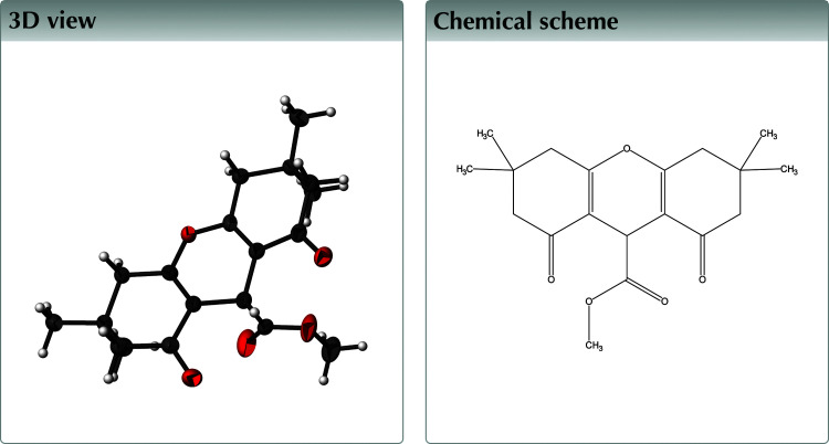 graphic file with name x-05-x201018-scheme1-3D1.jpg