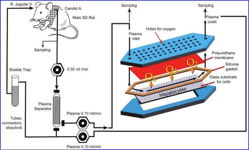 FIG. 1